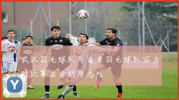 武汉羽毛球队与南京羽毛球队实力对比赛后分析与总结