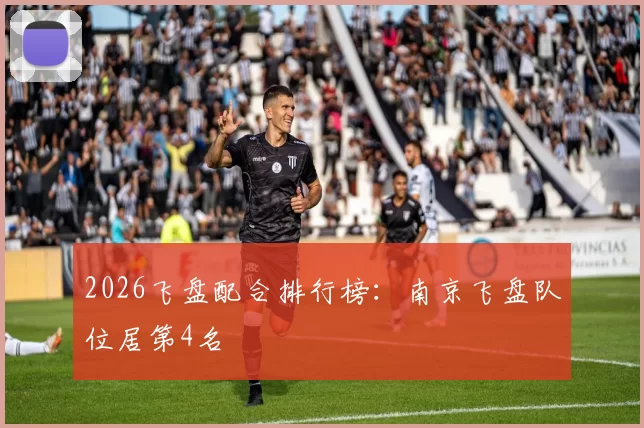 2026飞盘配合排行榜：南京飞盘队位居第4名
