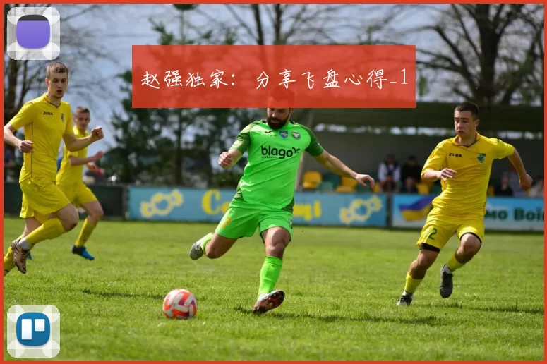 赵强独家：分享飞盘心得_1