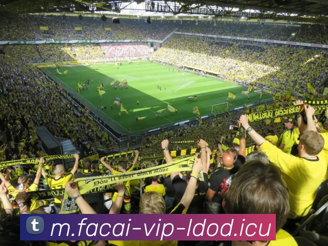 九游体育全站App